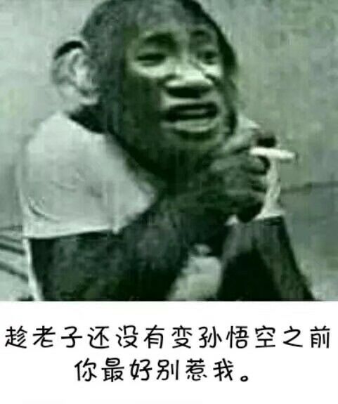 趁老子好没友变成孙悟空之前最好别惹我-孙悟空,装逼