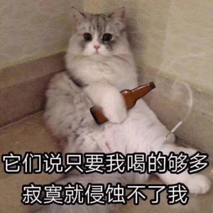 猫咪拿着酒瓶躲在角落：它们说只要我喝的够多，寂寞就侵蚀不了我-猫咪,寂寞
