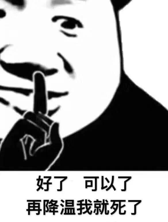 熊猫头嘘：好了 可以了 再降温我就死了