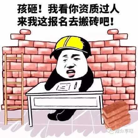 熊猫头招工：孩砸！我看你资质过人 来我这报名去搬砖吧-熊猫头,搞笑,装逼