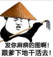 熊猫头戴着竹帽子：发你麻痹的图啊！跟爹下地干活去!-熊猫头,搞笑,装逼