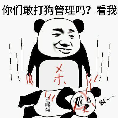 熊猫头杀了狗管理：你们敢打狗管理吗？看我
