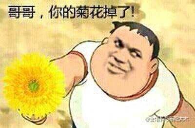 胖虎捡到一朵菊花：哥哥，你的菊花掉了！-搞笑,装逼