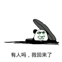 熊猫头从下说道井盖出来：有人吗，我回来了-熊猫头,搞笑,装逼