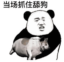 熊猫头当场抓住舔狗-熊猫头,搞笑,装逼