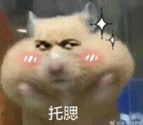 托腮-仓鼠,可爱