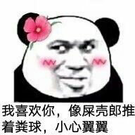 女版熊猫头：我喜欢你，像屎壳郎推着粪球，小心翼翼-熊猫头,搞笑,装逼