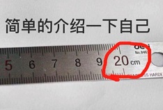 简单的介绍一下自己：长度20cm_20公分_20厘米-搞笑,装逼,介绍一下自己表情包,生殖器官的长度