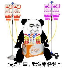熊猫头挂着营养快线：快点开车，我营养跟得上