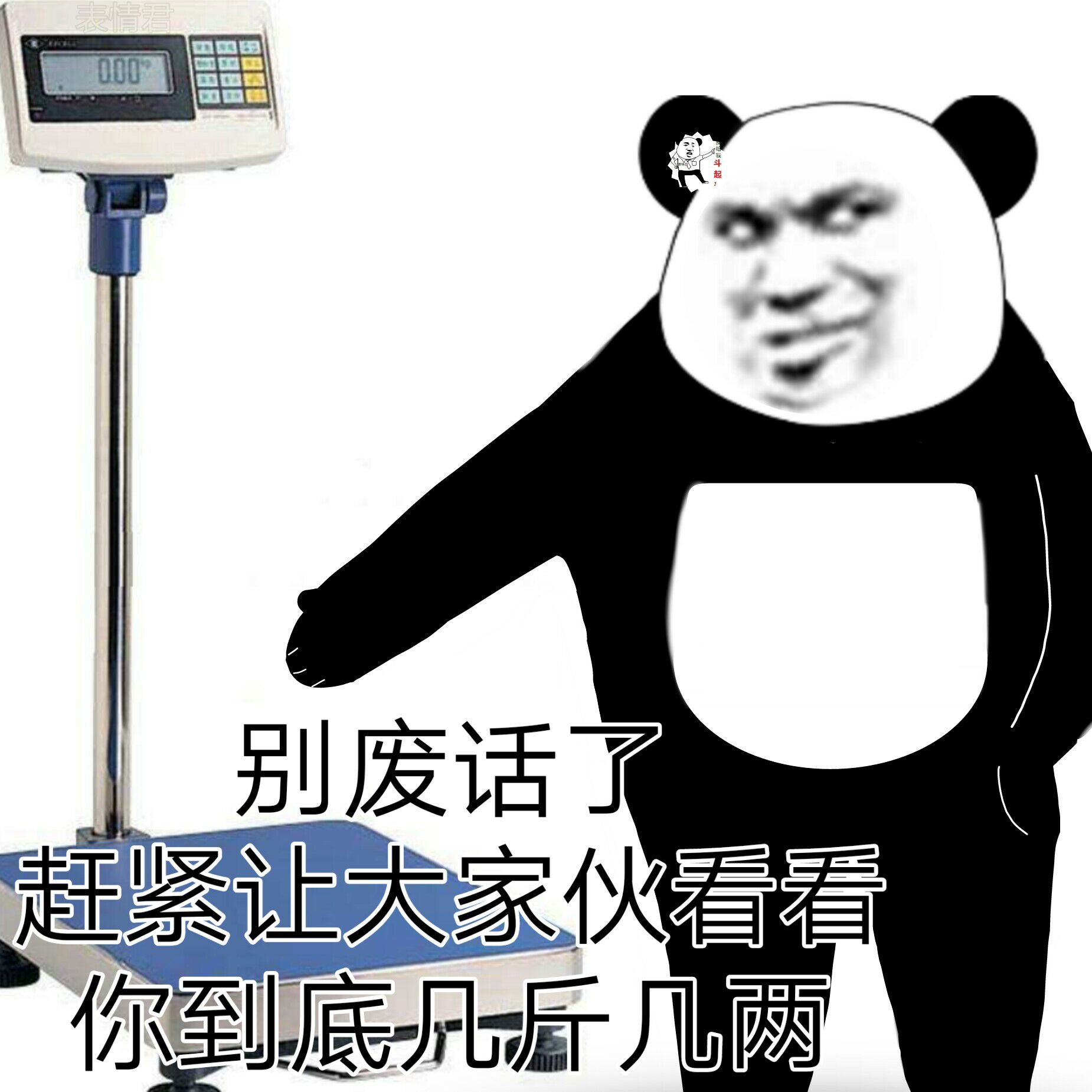 熊猫头：别废话了_感激让大伙看看_你有几斤几两-熊猫头,搞笑