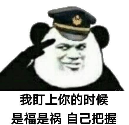 熊猫头：我盯上你的时候，是福是祸自己把握-熊猫头,装逼,搞笑