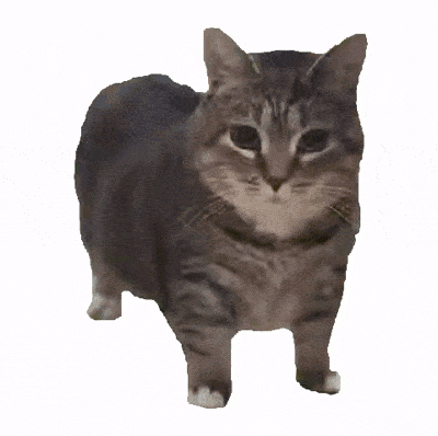 【GIF高清】旋转猫猫Oiiaioooooiai