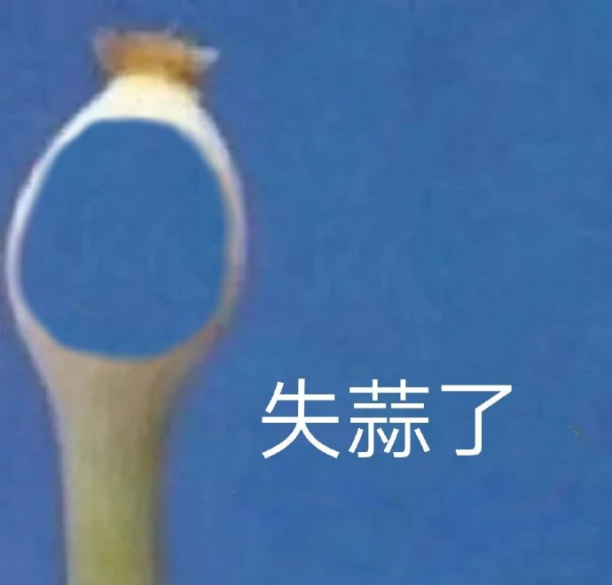 一根蒜表情-失蒜了-一根蒜表情包,蒜表情包,好心态表情包