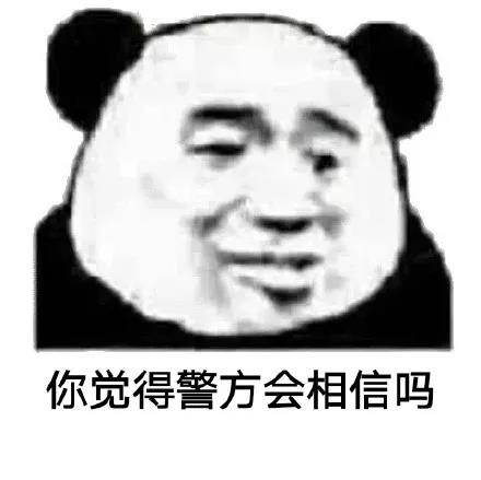 熊猫头：你觉得警察会相信吗-熊猫头,你觉得,会相信吗