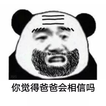 熊猫头：你觉得爸爸会相信吗-熊猫头,你觉得,会相信吗