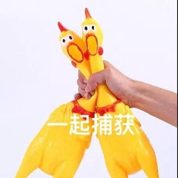 搞笑尖叫鸡表情包-一起捕获-