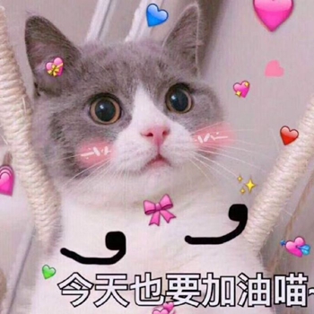 粉粉可爱喵星人表情包-3 -