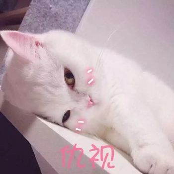粉粉可爱喵星人表情包-4 -