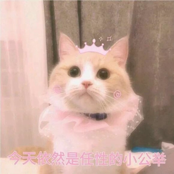 粉粉可爱喵星人表情包-7 -