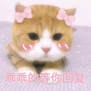 粉粉可爱喵星人表情包-9 -
