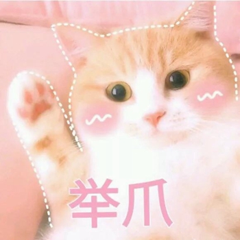 粉粉可爱喵星人表情包-11-