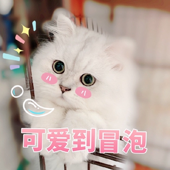 粉粉可爱喵星人表情包-13-