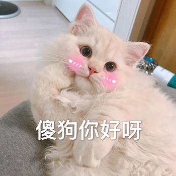粉粉可爱喵星人表情包-15-
