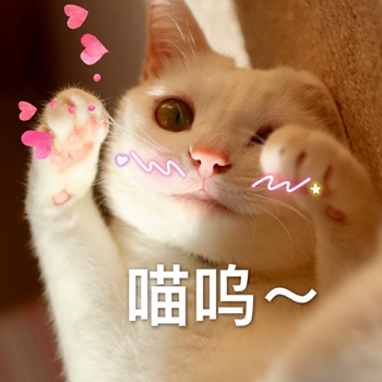 粉粉可爱喵星人表情包-16-