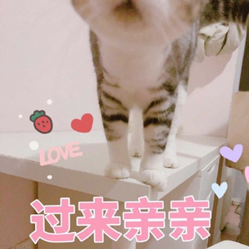 粉粉可爱喵星人表情包-19-