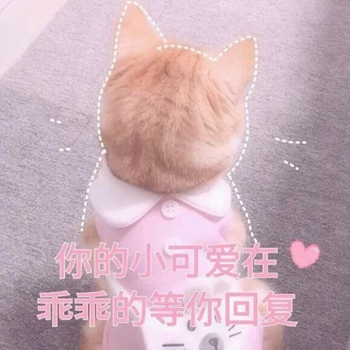 粉粉可爱喵星人表情包-24-