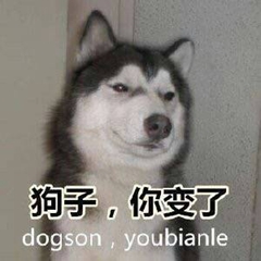 暴躁柴犬二哈土狗在线怼人表情包-9 