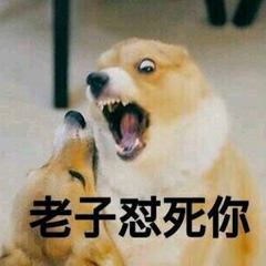 暴躁柴犬二哈土狗在线怼人表情包-10