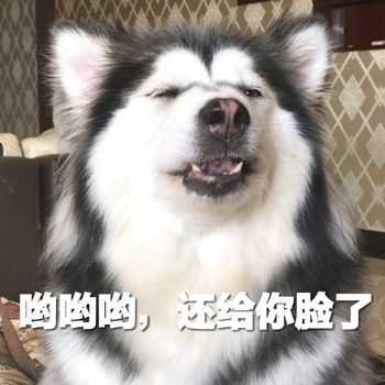 暴躁柴犬二哈土狗在线怼人表情包-18-