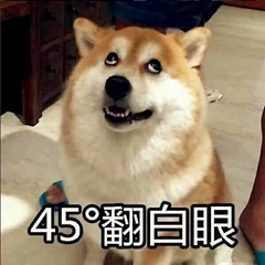 暴躁柴犬二哈土狗在线怼人表情包-20-