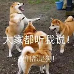 暴躁柴犬二哈土狗在线怼人表情包-21-