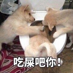 暴躁柴犬二哈土狗在线怼人表情包-22-