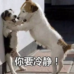 暴躁柴犬二哈土狗在线怼人表情包-23-