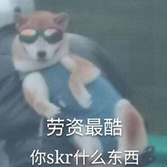 暴躁柴犬二哈土狗在线怼人表情包-24-