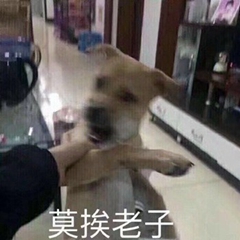 暴躁柴犬二哈土狗在线怼人表情包-25-