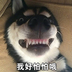 暴躁柴犬二哈土狗在线怼人表情包-27-