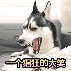 暴躁柴犬二哈土狗在线怼人表情包-28-