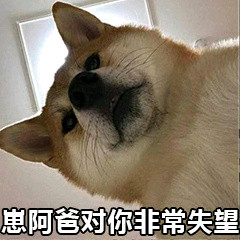 暴躁柴犬二哈土狗在线怼人表情包-29-