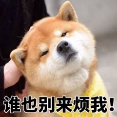 暴躁柴犬二哈土狗在线怼人表情包-30-