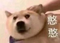 我是最靓的狗仔表情包-5 -