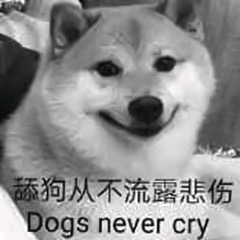 我是最靓的狗仔表情包-8 -