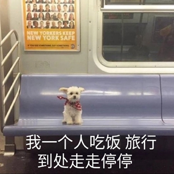 我是最靓的狗仔表情包-11-