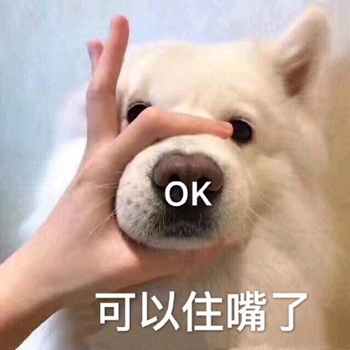 我是最靓的狗仔表情包-16-