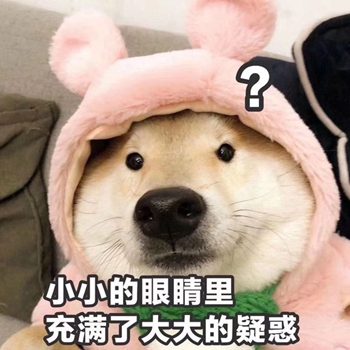 我是最靓的狗仔表情包-18-