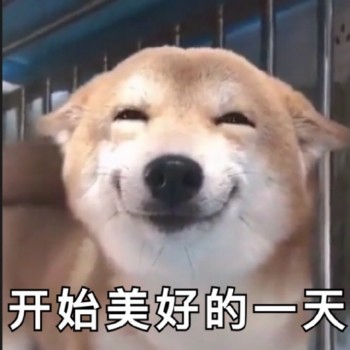我是最靓的狗仔表情包-21-
