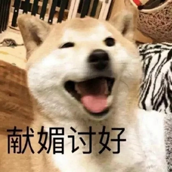我是最靓的狗仔表情包-33-